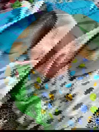 Lahir di 36week 5day