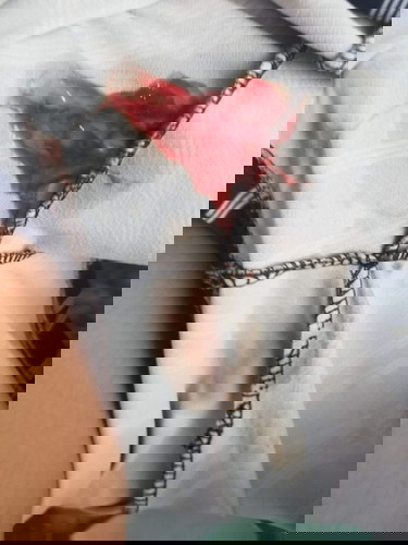 Ano pong discharge ito mga mommies?