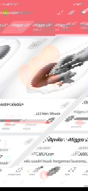 Fitur FavoritTap "pemantauan kehamilan" Fitur Faforitnya Bunda-Bunda