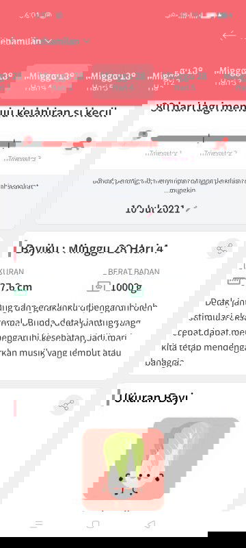 fitur favorit ku adalah fitur pemantau kehamilan... kenapa???