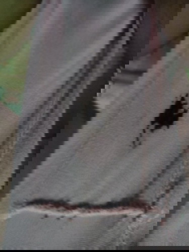 มีเลือดออก