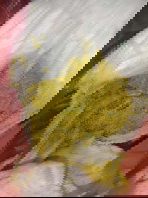 Pup Bayi seperti ada bulatan