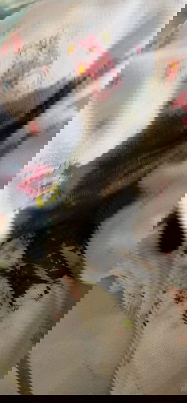 การขับถ่าย