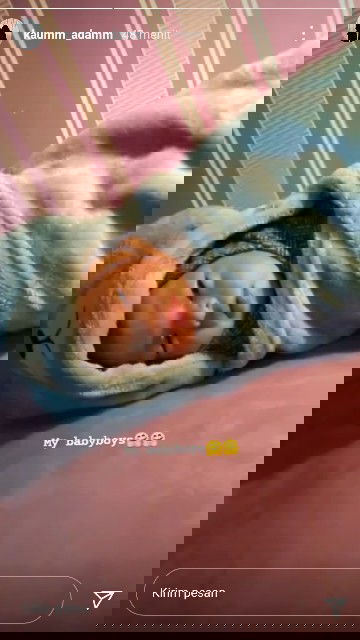 Lahir di 38 weeks 1 hari