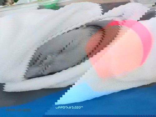 กำหนด15เมษา คลอด8เมษา