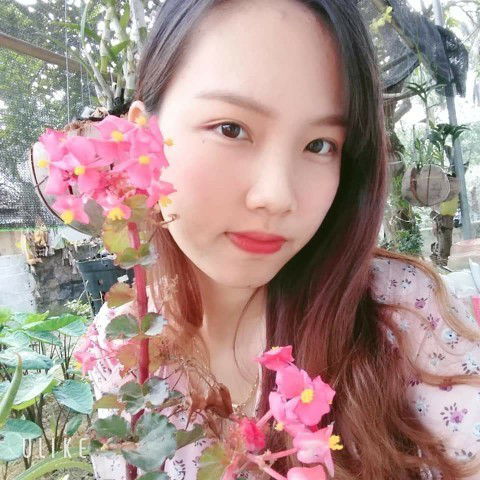 Từ tuần thứ 37thì nên siu âm gì vậy các m