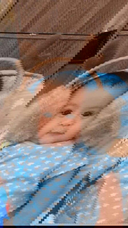 mudik lebaran bersama bayi kecilku