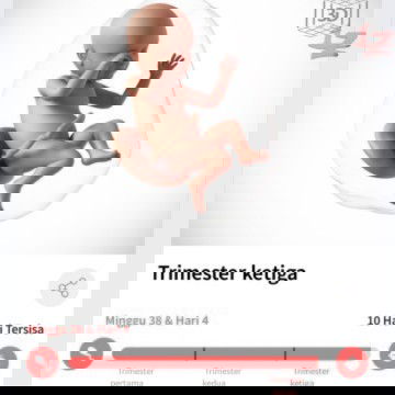 Mohon doanya ya bund🙏