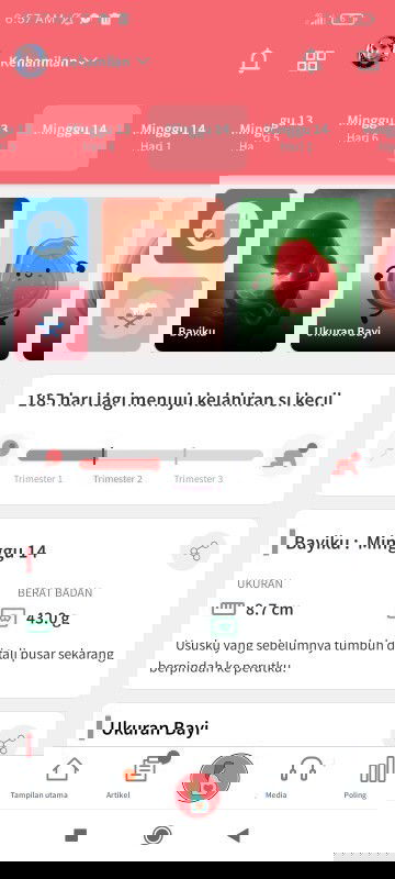 Fitur pemantau kehamilan favorite banget.