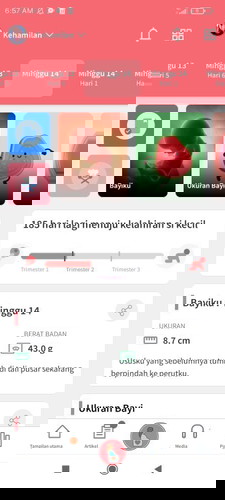 Fitur pemantau kehamilan favorite banget.