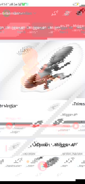 minta doa y bunda2 cantik...lg nunggu gelombang cinta