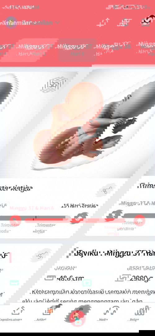 Menanti gelombang cinta