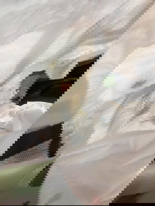 Need insights and advice