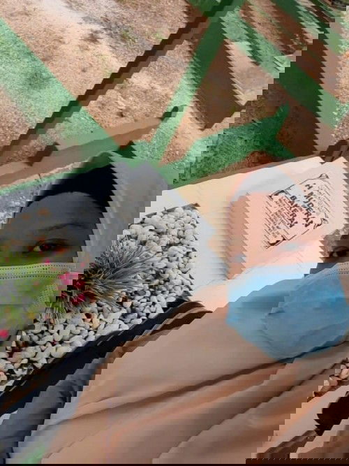 Rencana lebaran tahun ini dan haul abah