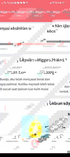 Menunggu kelahiran anak pertama