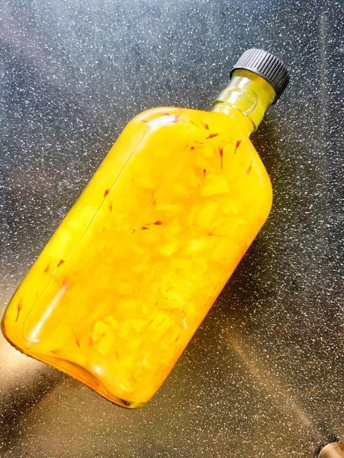 Kombucha diy