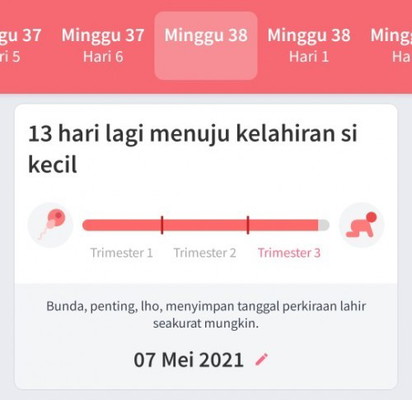 38 Minggu