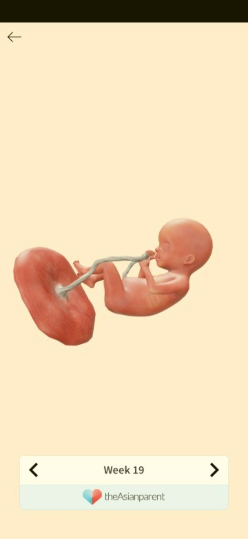 Fitur pemantau kehamilan yg sangat berkesan untukku