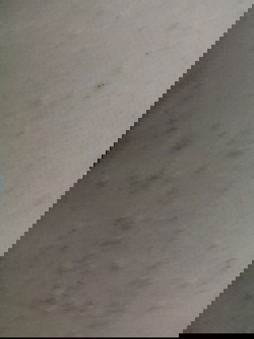 Gatal merah hampir seluruh tubuh