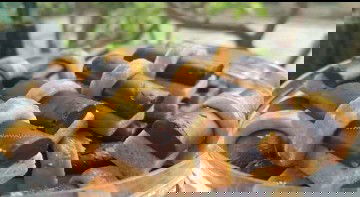 Kegiatan Menjelang Lebaran Bikin Kue Kering di rumah bareng dedek janin😘