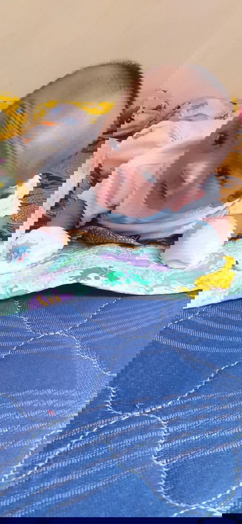 Enaknya lebaran tahun ini mudik atau di rumah saja?