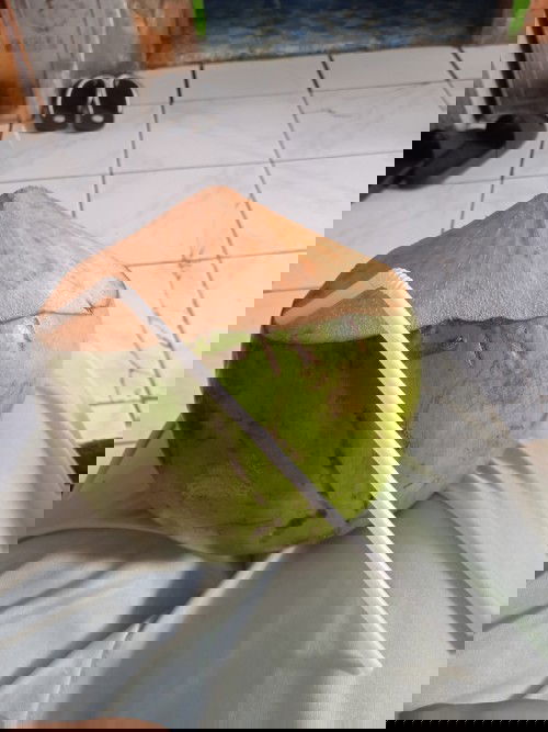 bumill 30w ada yang masih kuat puasa gak?