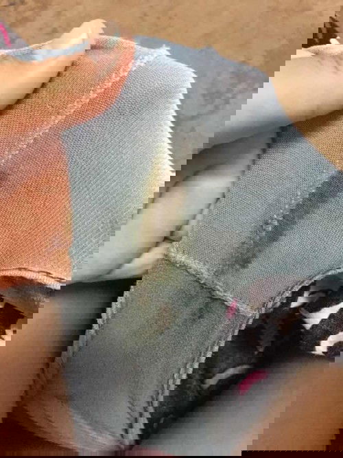 ถามหน่อยคะแม่ๆ เป็นแบบนี้ต้องไปหาหมอเลยไหมคะ .    #ท้องแรก