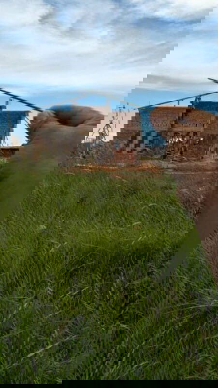 Lebaran tahun ini, baju boleh tak baru tapi Alhamdulillah Rumah baru 😍