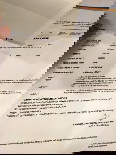 BICOURNUATE UTERUS PREGNANCY