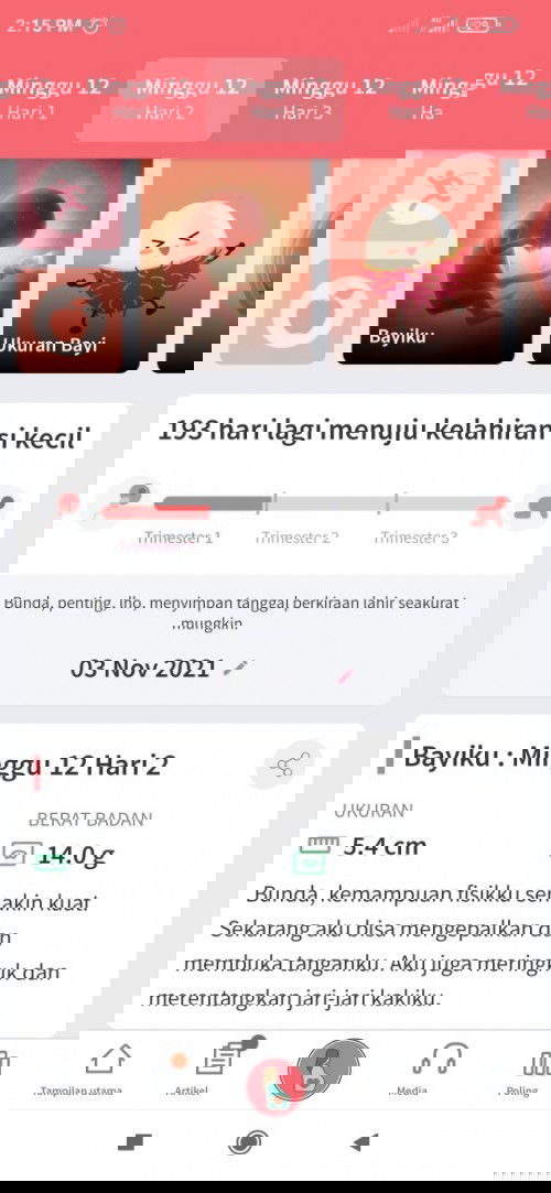 Fitur Pemantau Kehamilan memang JUARAAA...