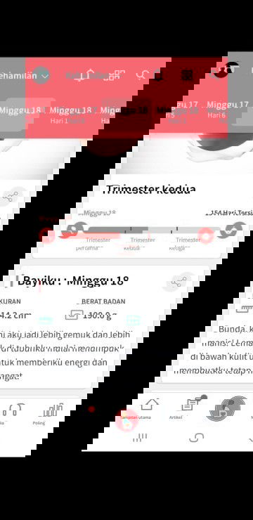 Fitur Favoritku saat hamil