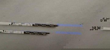 ตรวจครรภ์