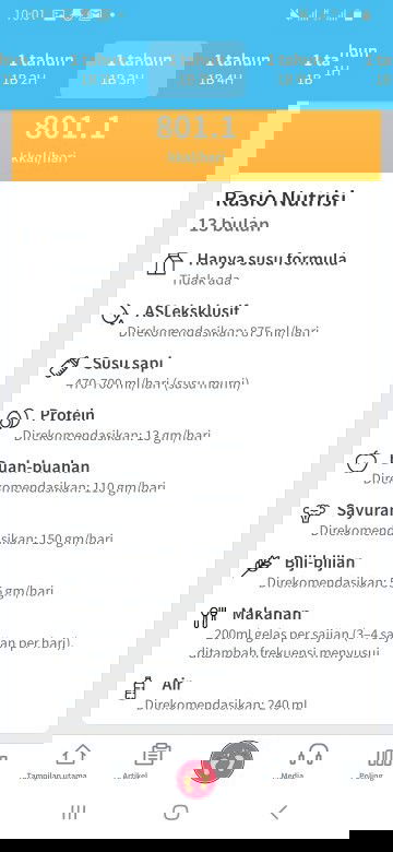 Hanya susu formula (tidak ada)