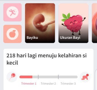 USG 8 weeks bagusnya USG 3D atau 4d