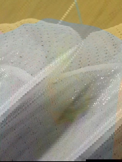 Giờ e phải lm sao máy chi nói e bung nút nhày r e kêu mẹ ck đưa ik viện mà mẹ ck noi ra máu moi đi