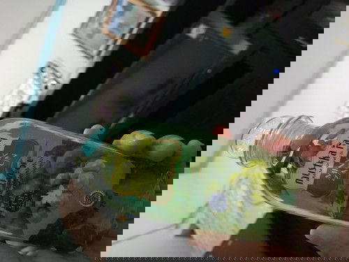 Minyak zaitun mustika ratu