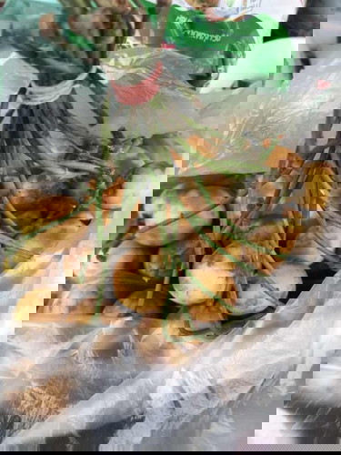 ท้อง6 สัปดาห์ กินมะไฟได้ไหมค่ะ