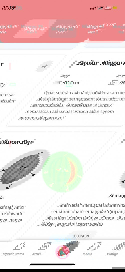 Uk 40 week Baru Konpal-konpal