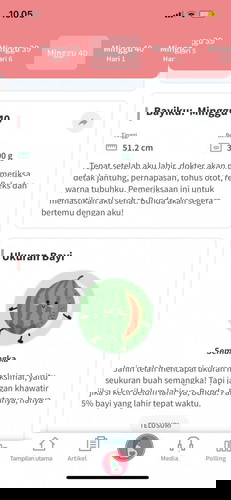 Uk 40 week Baru Konpal-konpal