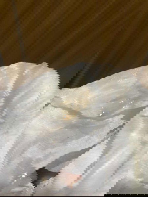 มีมูกเลือดออก