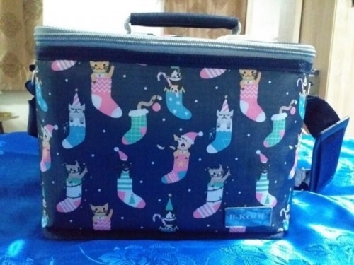 กระเป๋าเก็บอุณหภูมิ เก็บน้ำนมแม่ (ขายแล้ว)