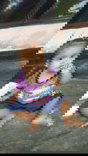 Belum bisa merangkak