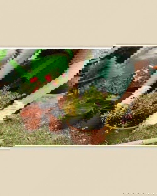 Berkebun dengan sikecil saat lebaran ternyata lebih Asik