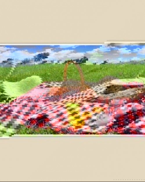 Menikmati Lebaran sambil Piknik dihalaman Rumah