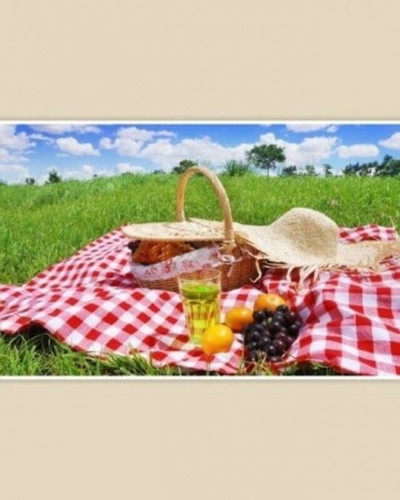 Menikmati Lebaran sambil Piknik dihalaman Rumah