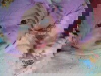 Lebaran bersama keluarga kecil ku