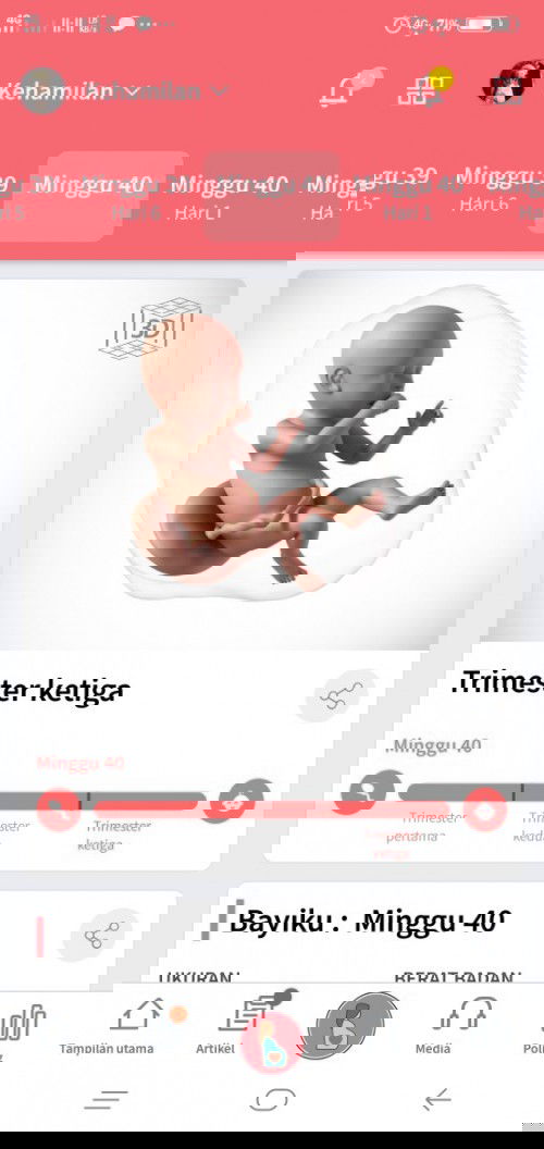 Menanti gelombang cinta dari utun