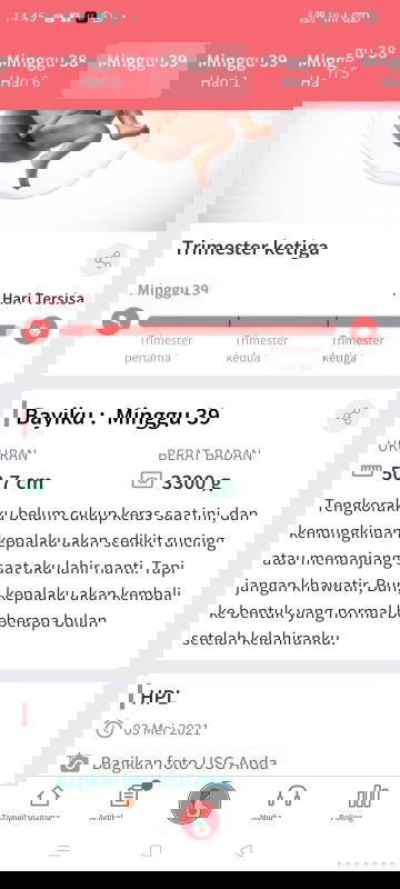 Menunggu gelombang cinta