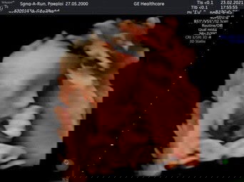 #ทีมพฤษภาคม