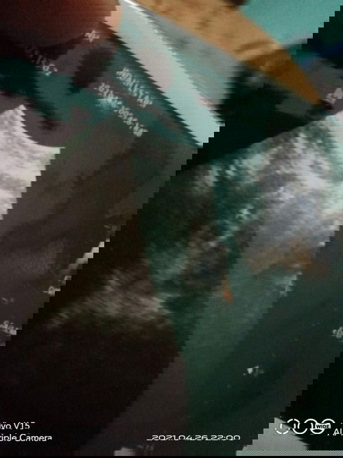 Bundaa, apa ini kembar ya?